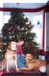 Da Boyz at Christmas 2000