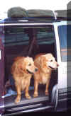 On the way home from Wildwood 2002
